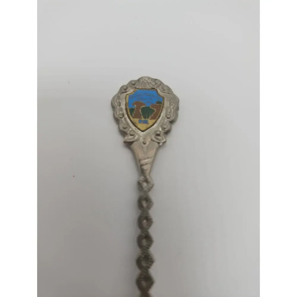Wisconsin Dells Enamel Souvenir Collector Spoon Vtg Braided Handle Travel Gift